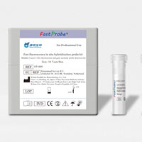 FISH Probes